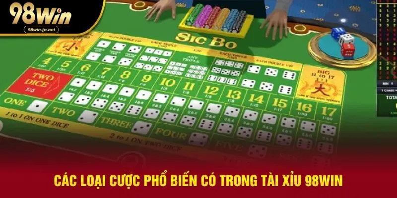 Bốn hình thức cược cơ bản nhất người chơi cần hiểu rõ